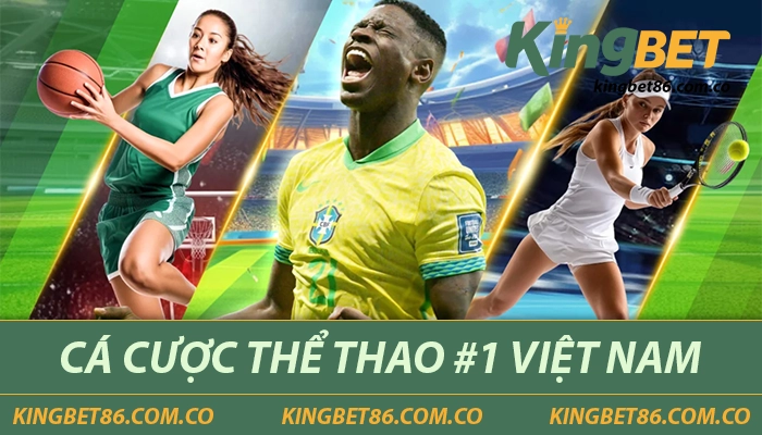 Kingbet86 glacis – Nhà Cái Giải Trí Trực Tuyến Hàng Đầu Việt Nam 7 Cá cược thể thao tại Kingbet86 được đánh giá cao